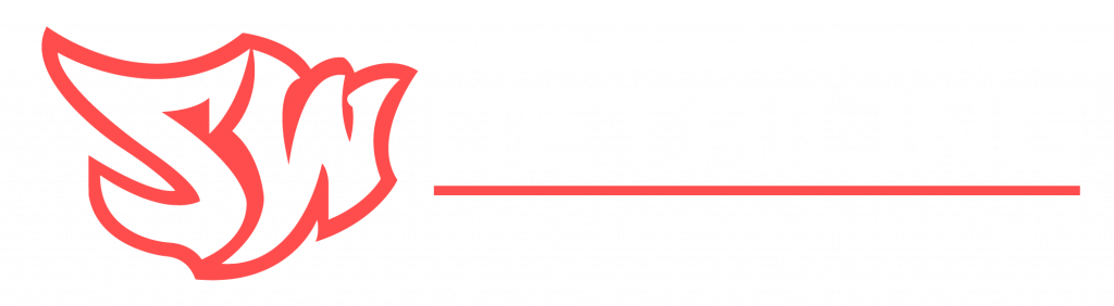 SW Detailing – premium mobile car detailing service in Bournemouth